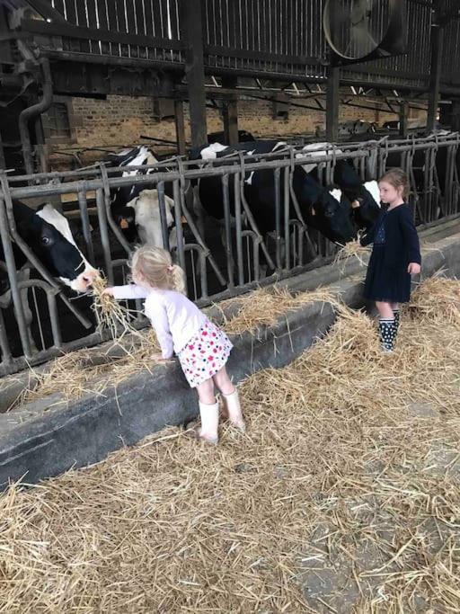 Gite Ferme Cidricole Et Laitiere Villa Magny-le-Desert Esterno foto